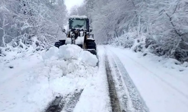 روستای مازندران بر اثر بارش برف مسدود شدند